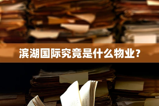 滨湖国际究竟是什么物业？