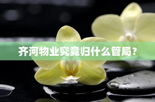 齐河物业究竟归什么管局？