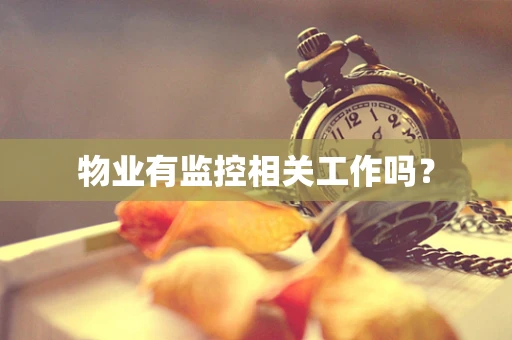 物业有监控相关工作吗？
