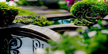 物业可以不评星吗？