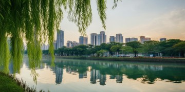 水岸尚城是由哪家物业单位服务的呢？