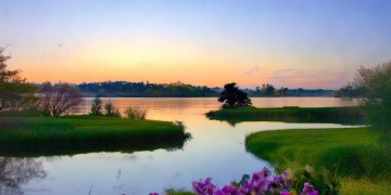 珠江园现在有物业且开业了吗？