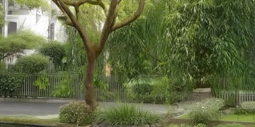 残联宿舍物业到底管不管事？