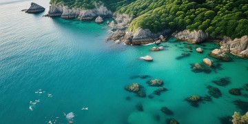 海上湾业主为何不交物业费？