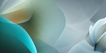 融科物业究竟算什么公司？