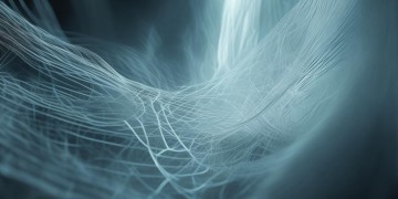 物业收缴率概念究竟是什么？