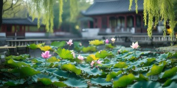 无锡今天要取消物业了吗？