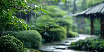 日照春雨物业是什么资质？