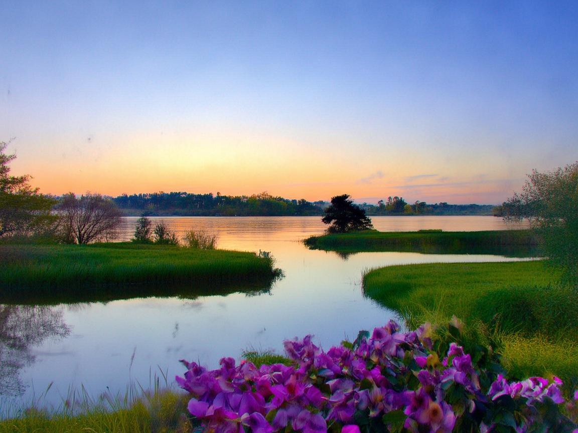 珠江园现在有物业且开业了吗？